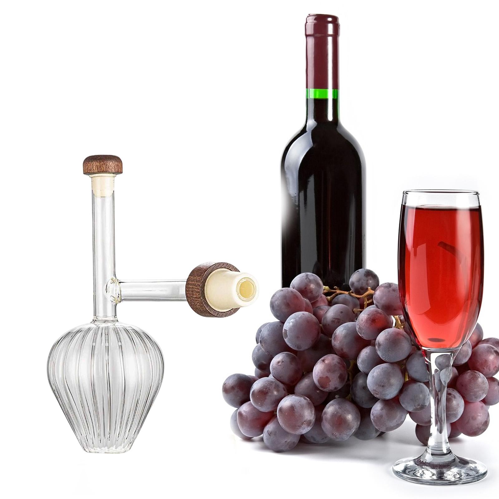 Portable Decanter Set Transpar - Decanter Aerator Set recension och pris