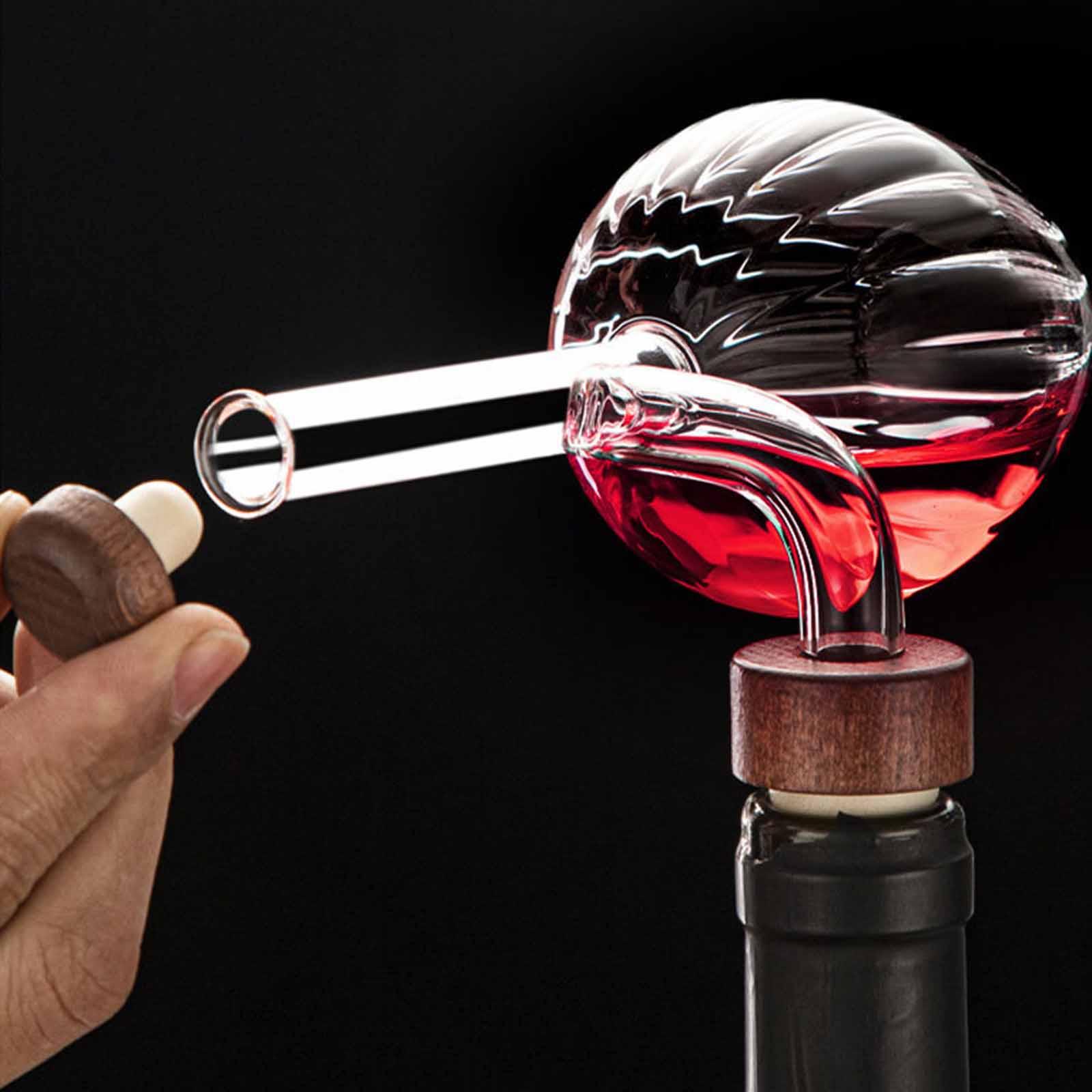 Fast Pouring Portable Decanter - Decanter Aerator Set recension och pris